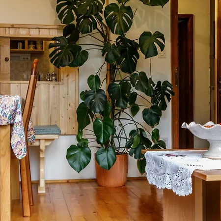 Affittacamere - Glamping Encijan